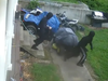 VIDEO: Watch the three masked burglars break into a home, then run away with their stolen loot.