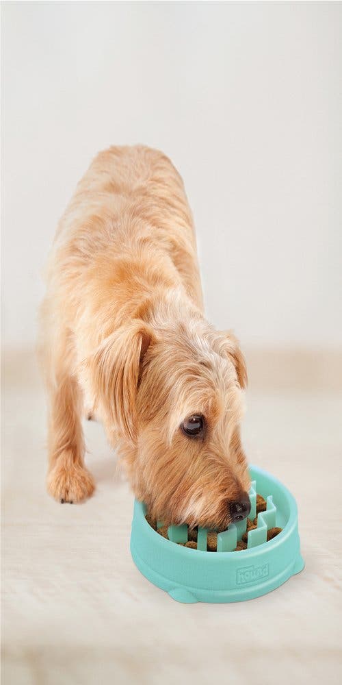Improve Your Dog S Digestion With Outward Hound S Slow Feeder