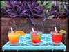 Myriad summer activities planned for summer at popular boutique hotel. 