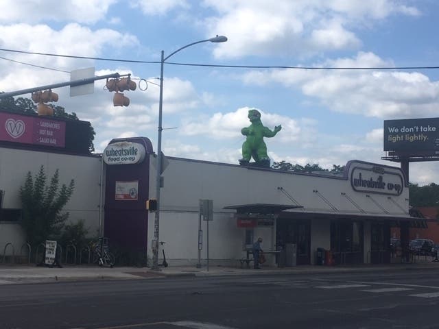 Wheatsville store at 3101 Guadalupe St. distinguishes itself from Lamar Boulevard counterpart with its inflatable dinosaur fixture.
