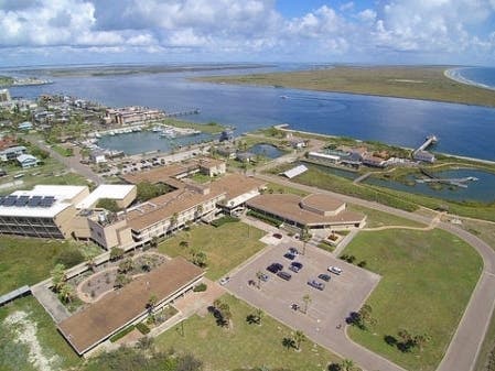 Grant totaling $5M will be used to repair UT Marine Science Institute campus in Port Aransas raved by hurricane.