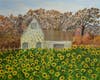 "Sunflower Fields Forever"
