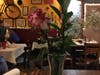Decatur's Café Alsace