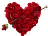 Red Roses, A Standard for Expressing Love