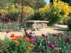 Descanso Gardens has closed all indoor facilities and programs for the month of March, 2020.