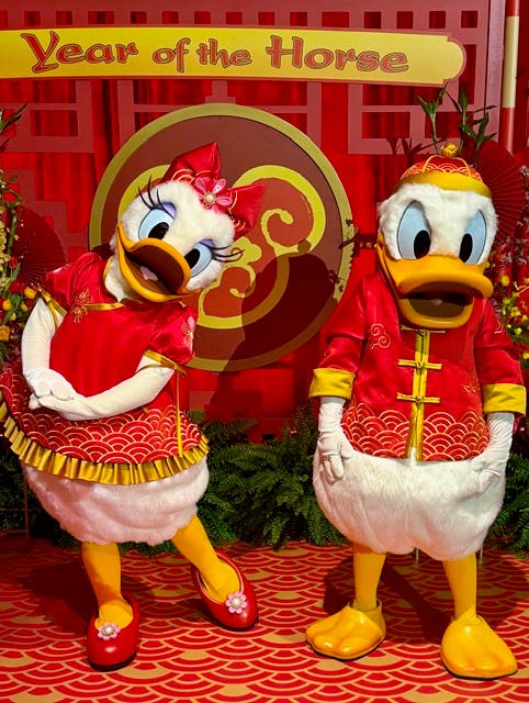Donald and Daisy. Photo Jill Weinlein Donald and Daisy. Photo Jill Weinlein