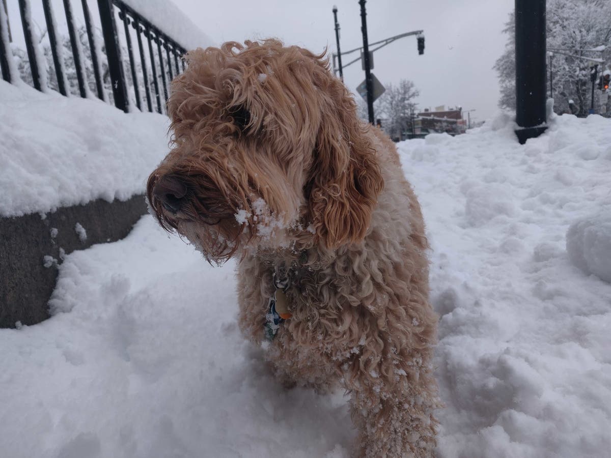 Not everyone had such an easy time walking around this morning.