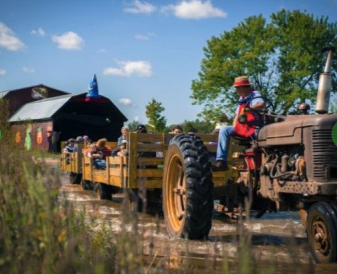 Cox Farms in Centreville found out recently that opposing white supremacy can be a controversial stance to take.
