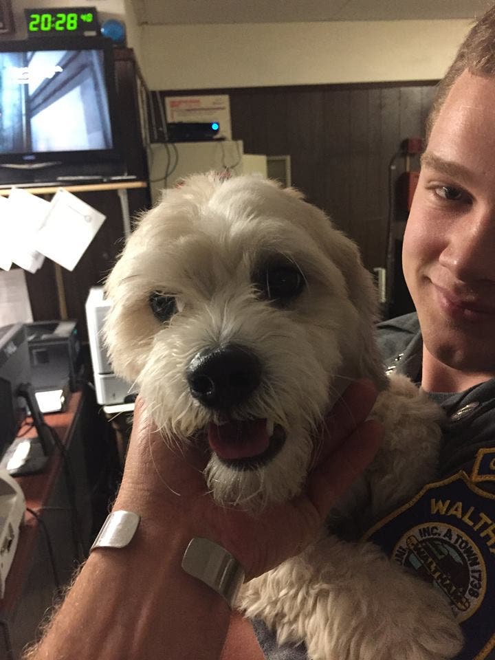 News small post card thumbnail