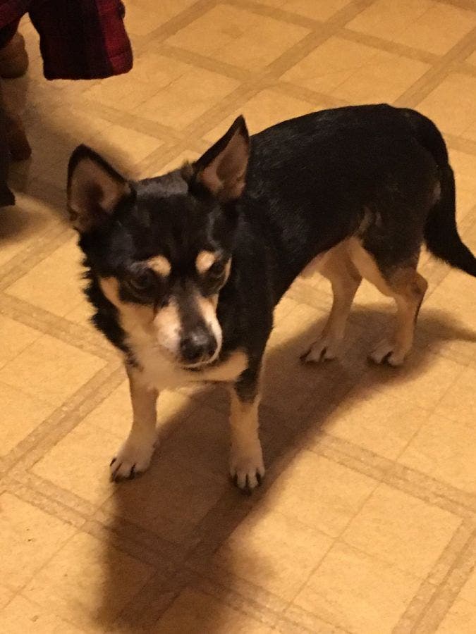 News small post card thumbnail