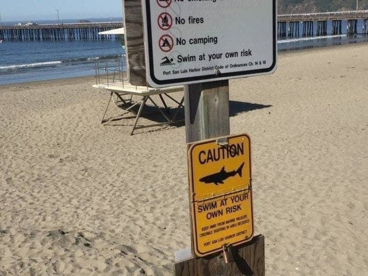 Three Cape Cod beaches were briefly closed over the weekend following shark sightings. 
