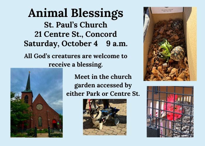Blessing of the Animals