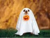 Insurance coverage does not have to be scary!