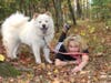 Author Diane Sullivan with her dog Apollo.
