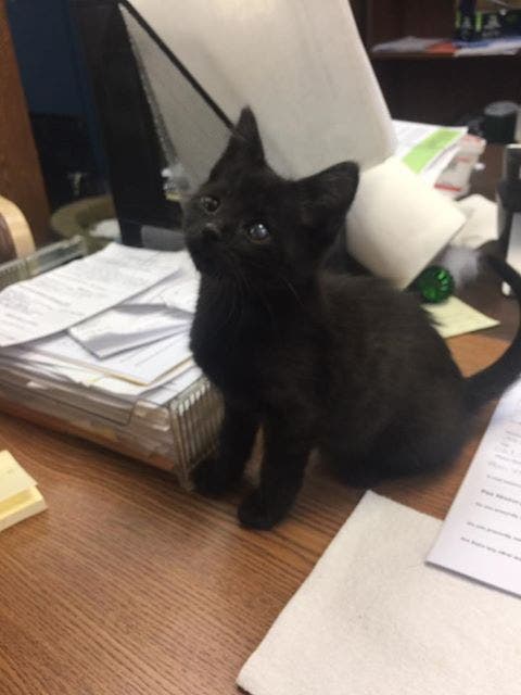 News small post card thumbnail