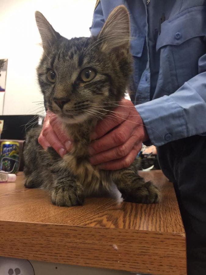 News small post card thumbnail