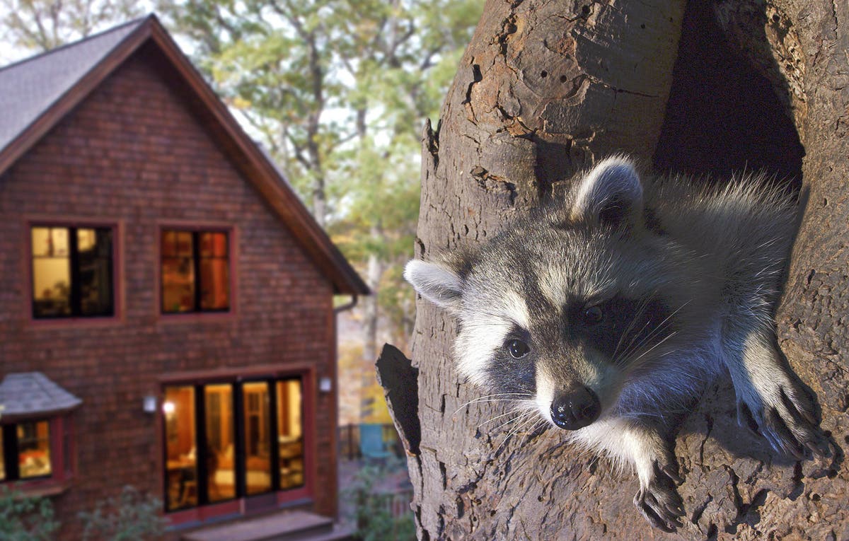 https://patch.com/img/cdn20/users/22878689/20180321/123222/styles/raw/public/processed_images/aquarimax_backyardwilderness1-1521648712-9808.jpg