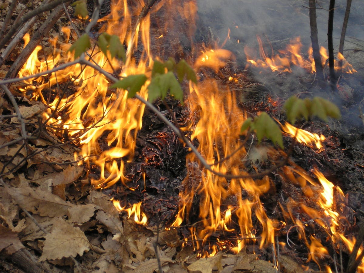 Risk Of Brush Fire Spread High For Thursday: Westport FD | Westport, CT ...