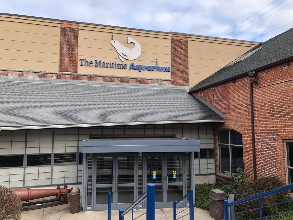 Maureen Hanley has been relieved of her position as president and chief executive officer of the Maritime Aquarium.