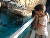 Maritime Aquarium guest Liberty Anglhuber watches the seals at the Maritime Aquarium in their new exhibit, "Pinniped Cove."