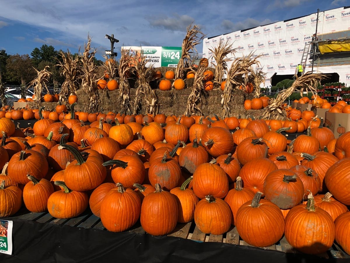 New Stew Leonard's Garden Center To Be Partially Finished By November
