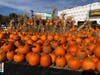 A pumpkin patch display at Stew Leonard's in Norwalk on Thursday.