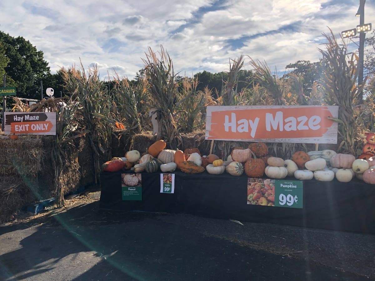 New Stew Leonard's Garden Center To Be Partially Finished By November