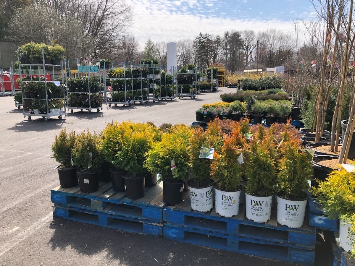 New Expanded Garden Center Opens At Stew Leonard's In Norwalk PHOTOS