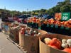 Stew Leonard's "pumpkin patch" Halloween display at its Norwalk store, located at 100 Westport Avenue, on Oct. 4, 2023.