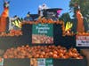 Stew Leonard's "pumpkin patch" Halloween display at its Norwalk store, located at 100 Westport Avenue, on Oct. 4, 2023.