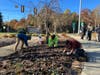 Residents and town officials plant bulbs during a special planting ceremony at the town's Vietnam Veterans Memorial Park on Nov. 15, 2023.