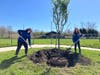 Noreen Wilpiszeski​​ and Pam Roman plant a tree at Indian Ledge Park in Trumbull to celebrate Arbor Day on April 26, 2024.