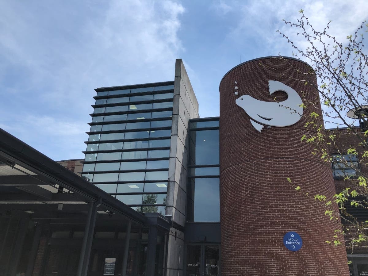 The Maritime Aquarium in Norwalk invites guests to name a veggie, cockroach or fish after an ex, which will then be fed to one of their resident animals this Valentine's Day.