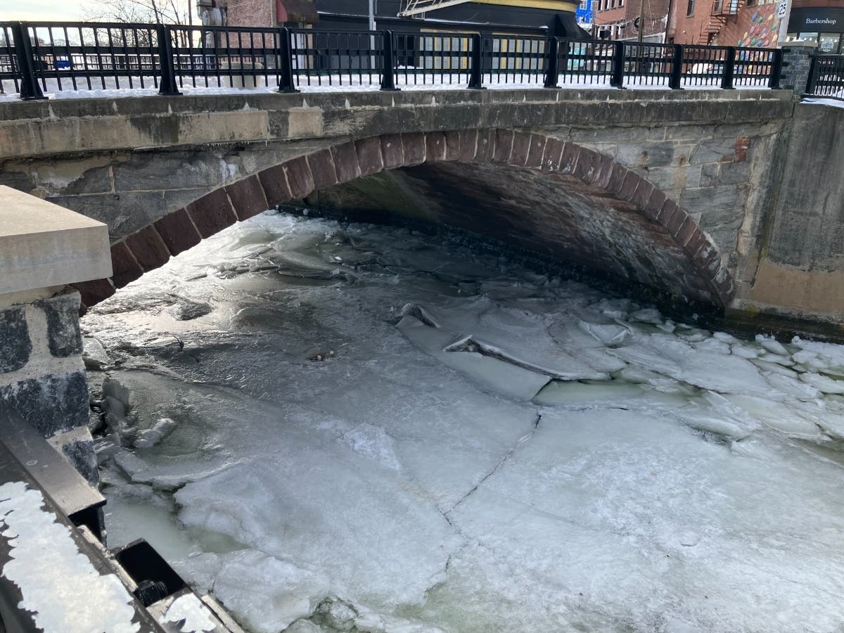 A swan that was rescued by firefighters on Feb. 3, 2026, after getting stuck in the icy waters of the Norwalk River was released back into the water on Feb. 11, 2026.