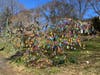 A colorful Easter egg tree display on East Avenue in Norwalk on March 29, 2026.