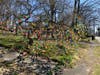 A colorful Easter egg tree display on East Avenue in Norwalk on March 29, 2026.