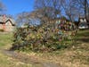 A colorful Easter egg tree display on East Avenue in Norwalk on March 29, 2026.