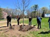 Town and state officials gather for an Arbor Day tree planting ceremony at the Tashua Knolls Recreation Area in Trumbull on April 24, 2026.