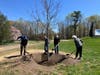 Town and state officials gather for an Arbor Day tree planting ceremony at the Tashua Knolls Recreation Area in Trumbull on April 24, 2026.