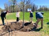 Town and state officials gather for an Arbor Day tree planting ceremony at the Tashua Knolls Recreation Area in Trumbull on April 24, 2026.