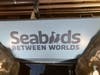 The Seabirds Between Worlds exhibit during a ribbon cutting ceremony on June 11, 2026, at the Maritime Aquarium in Norwalk.
