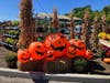 Seasonal decorations set up at Stew Leonard's at 100 Westport Avenue in Norwalk on Sept. 15, 2026.