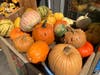Pumpkins and other items at Stew Leonard's at 100 Westport Avenue in Norwalk on Sept. 15, 2026.