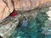 Pearl at the Maritime Aquarium in Norwalk on Sept. 30, 2026.