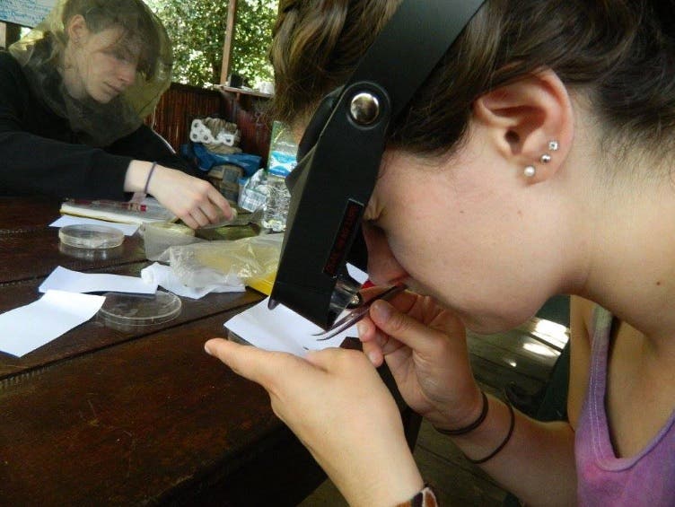 https://patch.com/img/cdn20/users/22878706/20160623/115330/styles/raw/public/article_images/microscope.jpg