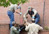 A mountain lion is captured Monday morning outside Macy's in downtown Santa Rosa.