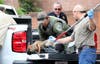 A mountain lion is captured Monday morning outside Macy's in downtown Santa Rosa.