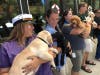 Volunteer puppy raisers stand in a line with their new charges at the San Rafael campus of Guide Dogs for the Blind.