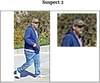Authorities reached out to the public Tuesday for help in identifying a pair of thieves who posed as utility workers in order to get into the home of a retirement-age La Jolla resident and steal valuables.
