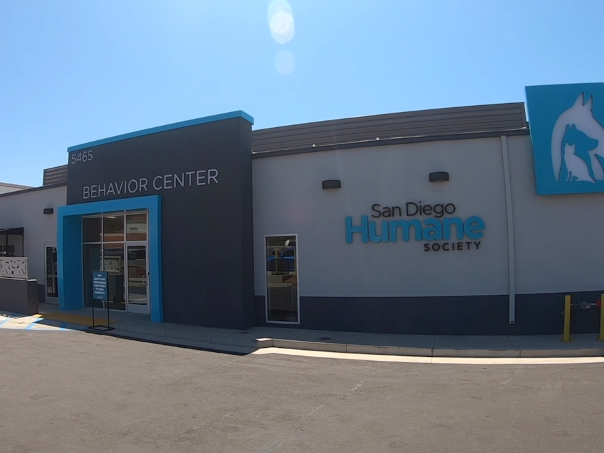 The San Diego Humane Society opened a behavior center at its San Diego campus to help animals deal with challenges like anxiety, fear and overstimulation.